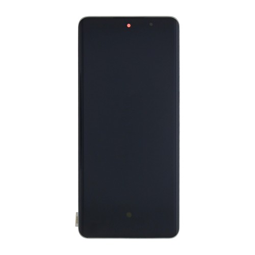 Oppo Reno 10 Pro (CPH2525) Display And Digitizer With Frame Silvery Grey OEM