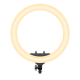 Rixus RXLG28 Ring Light 36W 19 Inch White