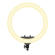 Rixus RXLG28 Ring Light 36W 19 Inch White